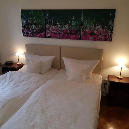 Silva Hotel 3*